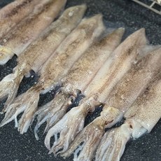 미국산 급냉 한치 냉동한치 통한치 통찜용한치 초코한치 화살오징어 창 오징어 한치 꼴뚜기 야식메뉴, 1개, 1kg 22-36미