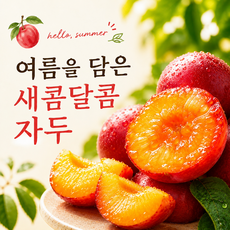 [제철특가] 새콤달콤 대석자두 노지자두 국내산 산지직송 고당도 제철과일 여름과일 여름간식, 1박스, 가정용 대석자두 1kg (실속)