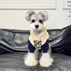 가을겨울 보온 후드티 강아지 옷 슈나우저 비숑 말티즈 기모 배색 반려동물 의류, 1개, 베이지+블루