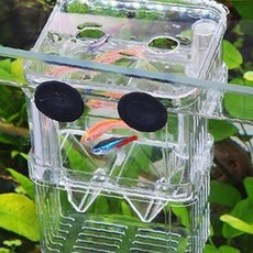 소형 투명 플라스틱 수조 관상어 새끼 보호 격리함 산란 사육 케이스 수족관 번식, 1개