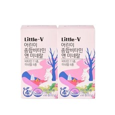 비타민하우스 리틀브이 어린이 종합비타민 앤 미네랄 2박스 유아 키즈 멀티비타민, 102g
