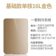 미니 화장품 소형 냉장고 온장고, D. 샴페인 컬러  대형 16L 차량 및 가정, 1개