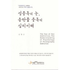 성중독의 눈 음란물 중독의 심리이해, 서울중독심리연구소, 김형근 저