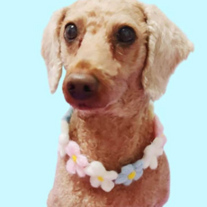 토끼옷 강아지꽃목걸이 반려견목걸이 L, 본상품