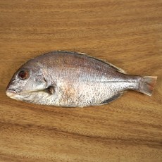 국내산 손질 반건조 참돔, 1개, 400g