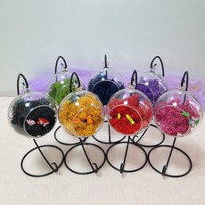 실내공기정화 스칸디아모스 화분 핸드메이드 DIY 세트 방과후 체험학습, 축복(4+1), 블랙