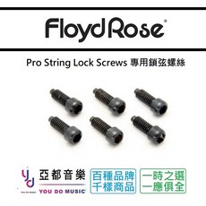 Floyd Rose FRPSLSBP 大搖座 專用 鎖弦螺絲, 1個
