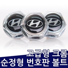 모비스 번호판 볼트, 1개, 현대 번호판볼트(크롬)