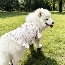 金毛薩摩耶春夏公主裙薄款飛袖大型犬連衣裙夏裝透氣大狗衣服背心, 1個, 小花背心裙,S【建议28-35斤】