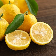 25년 첫수확 고흥 햇 유자 생과 못난이, 1박스, 2kg 혼합과