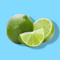 [직수입] 프리미엄 멕시코산 생 라임 생라임, 1박스, 10과(약850g) 중과