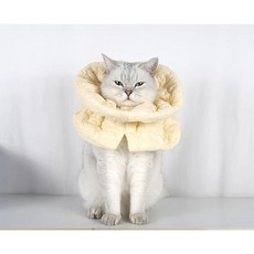 레오나 반려동물 조절가능 넥카라, 옐로우, 1개