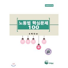노동법 핵심문제 100_유혜경_2016, 기저출판, 유혜경 저