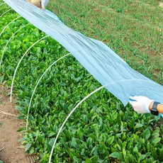 소형2mx10m 농 자재 비닐하우스비닐 도시농업 EWFGESIS, 하우스비닐2mx10m, 하우스비닐2m x 10m