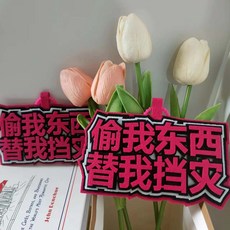 偷我東西替我擋災 不織布掛件, 1個, 偷我東西 替我擋災/5個