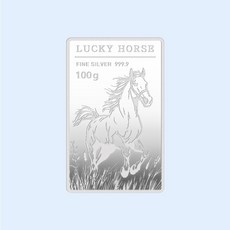 [삼성금거래소] 말 실버바 Silver Bar 100g
