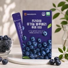 우리가족 유기농 건강식단 블루베리 퓨레, 1팩, 280g