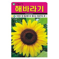 해바라기 꽃씨 종자 씨앗, 1개