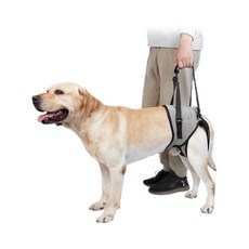 多寵宇宙 寵物輔助帶 狗狗輔助帶 老狗輔助 寵物輔助 狗輔助帶 狗助行器, 北極灰M號【腰圍46-52cm，腿圍27cm】建議體重15公斤-20公斤, 1套