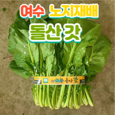 [돌산총각] 여수 돌산갓 생갓 노지재배, 2kg, 1박스