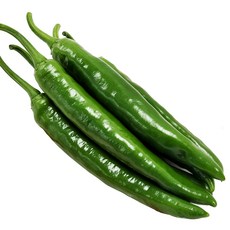 국산 오이고추 아삭이고추 풋고추 특품, 1개, 오이고추_1kg