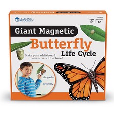 러닝리소스 LER 6043 특대형 자석 나비의 한살이 모형 자연관찰교구, 1개