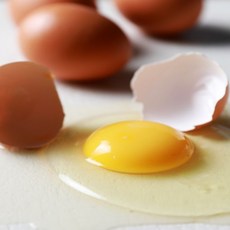 HACCP인증 안심 신선 특란, 2개, 30구