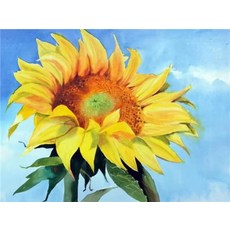 유화 숫자 그림 해바라기 패턴 캔버스 홈데코 대형 사이즈, 10. C10