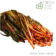 종이포장) 이슬처럼 맛있다! 중국산 파김치 5kg, 1개