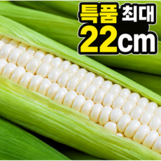 [특품초특가] 국내산 햇 미백 찰옥수수, 1개, 30개