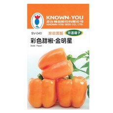 農友種苗 KNOWN-YOU 彩色甜椒-金明星 種子，家庭園藝首選，輕鬆種植，色彩鮮豔，營養豐富，享受田園樂趣, 1個