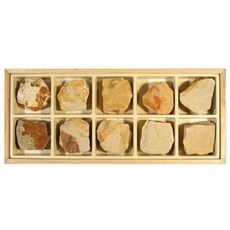 10개세트 마그마 용암 고온고압 규암 암석표본 교보재 과학 광물 교재 교구 과학놀이 표준