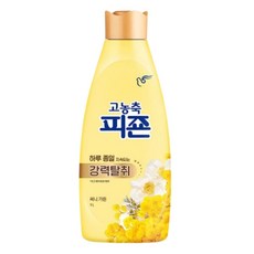 피죤 고농축 강력탈취 섬유유연제 써니 가든 본품, 1L, 1개