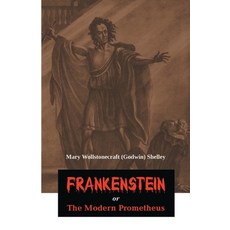 (영문도서) Frankenstein or The Modern Prometheus Paperback, Maven Books, English, 9789387488755