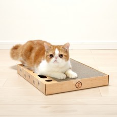 네코이찌 대형 장난감 공놀이 고양이 사각 스크래쳐, 1개, 라이트브라운
