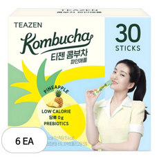 티젠 파인애플 콤부차, 5g, 30개입, 6개
