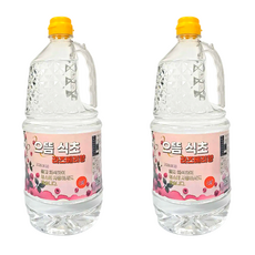 으뜸 청소용 식초 라즈베리향, 2개, 1.5L