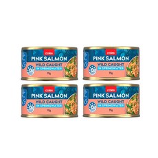 콜스 연어 통조림 캔 Coles Salmon Springwater, 4개, 95g