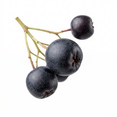 전북 고창 아로니아 특품(줄기제거) 5kg 냉동, 1개