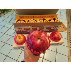 애플트레인 고당도 사과 명절선물 프리미엄 세트, 1개
