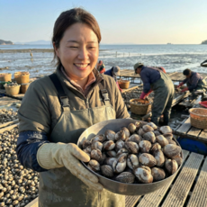 [꼬막까개 증정] 비비마켓 산지직송 고수율 벌교 새꼬막, 1박스, 특상품선별 6kg