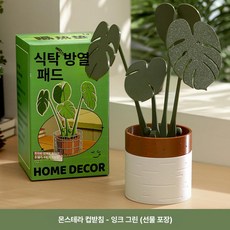 나뭇잎 거실 인테리어 코스터 플랜테리어 자석 홈카페, 1개, 화분 딥그린 선물 상자 B