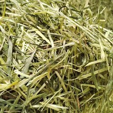 澳洲進口 甜燕麥 燕麥草 甜小麦草 苜蓿 提摩西一割 高纖磨牙 兔子龍貓豚鼠全階段適用 營養全面 适口性强 小宠爱吃, 1個, 甜燕麦草-不過篩1公斤