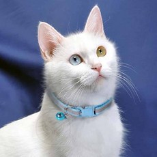 야광 고양이 방울 목걸이 버클형, 06고양이목걸이-보라, 1개