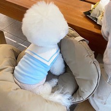 투니스 강아지 고양이 겸용 마린룩 민소매 티셔츠, 1개, 스카이 블루