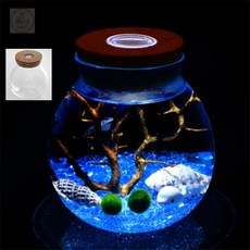 마리모 키우기 LED 유리병12x13cm 수초어항