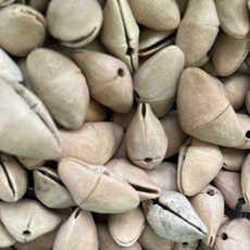 臺灣出貨 印尼果殻風鈴diy黑果材料包自製果殻音手工製作手搖鈴pangjii果殻 0OUT, Chacha夾竹桃25個+麻繩61米, 1個