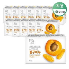 무궁화 자연미인 살구비누 90g x 12개, 12개입