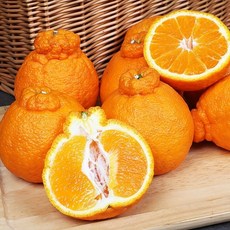 제주푸드마씸 적용시 14872원 현가원 서귀포 못난이 한라봉 2kg (실속형 혼합과)