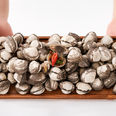 싱싱한 제철 벌교 꼬막, 1개, 특대 2kg